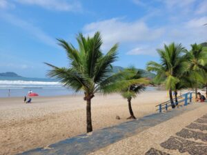 Surf e sustentabilidade no Guarujá