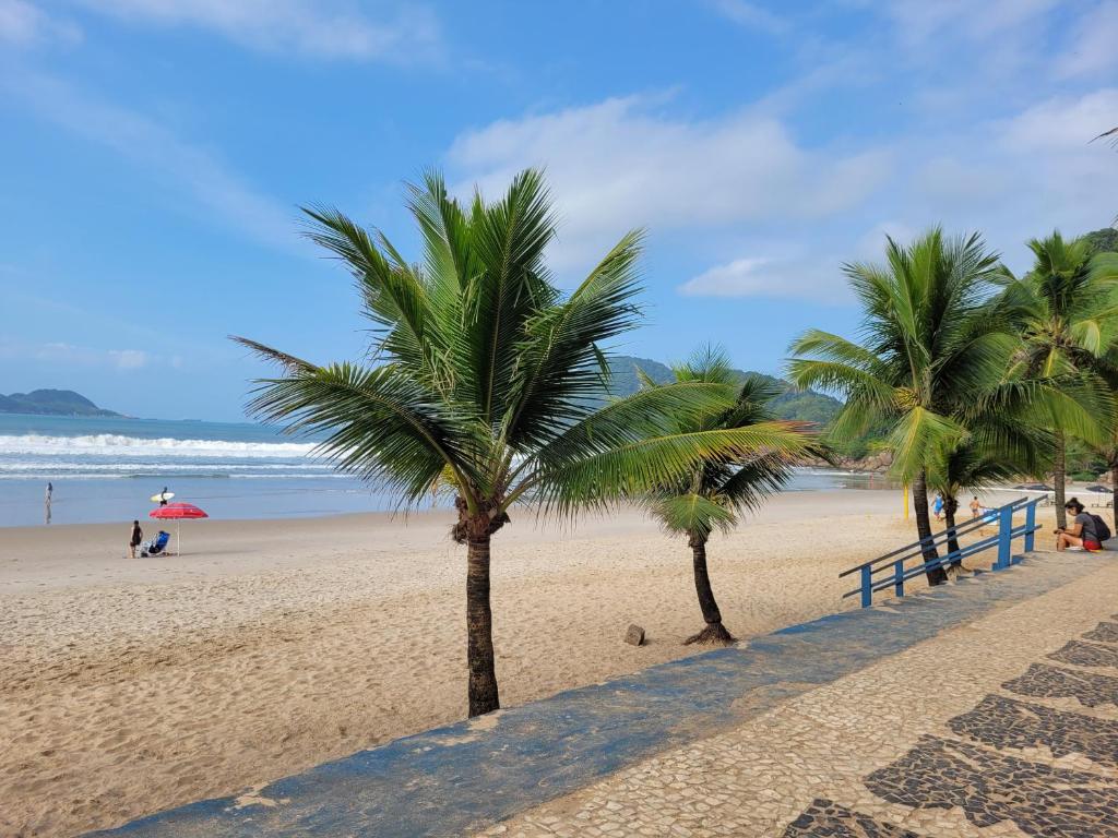 Surf e sustentabilidade no Guarujá