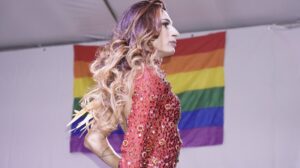 Direitos da Diversidade Sexual